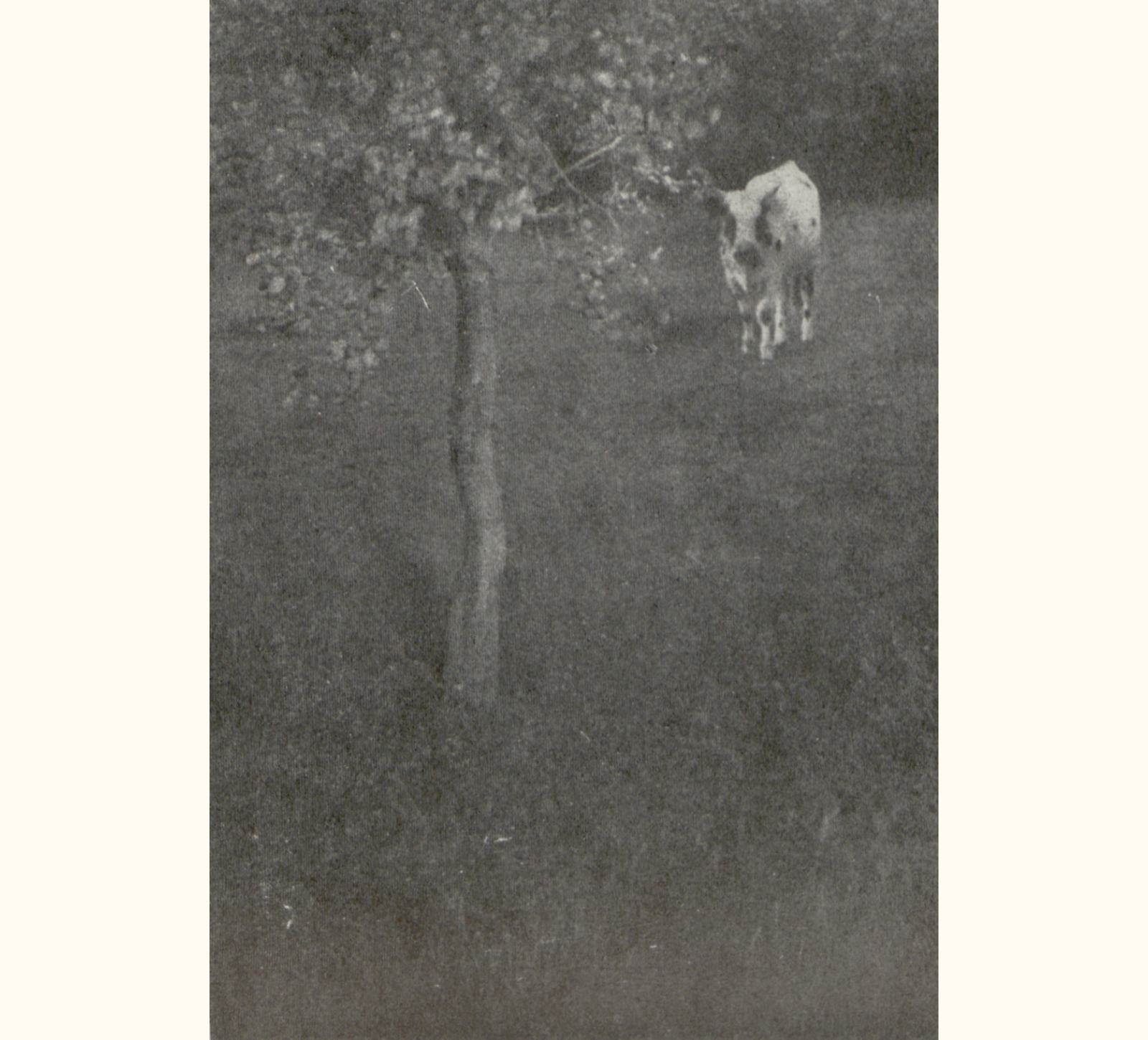 1909 Fifty-fourth Annual Exhibition of the Royal Photographic Society of Great Britain