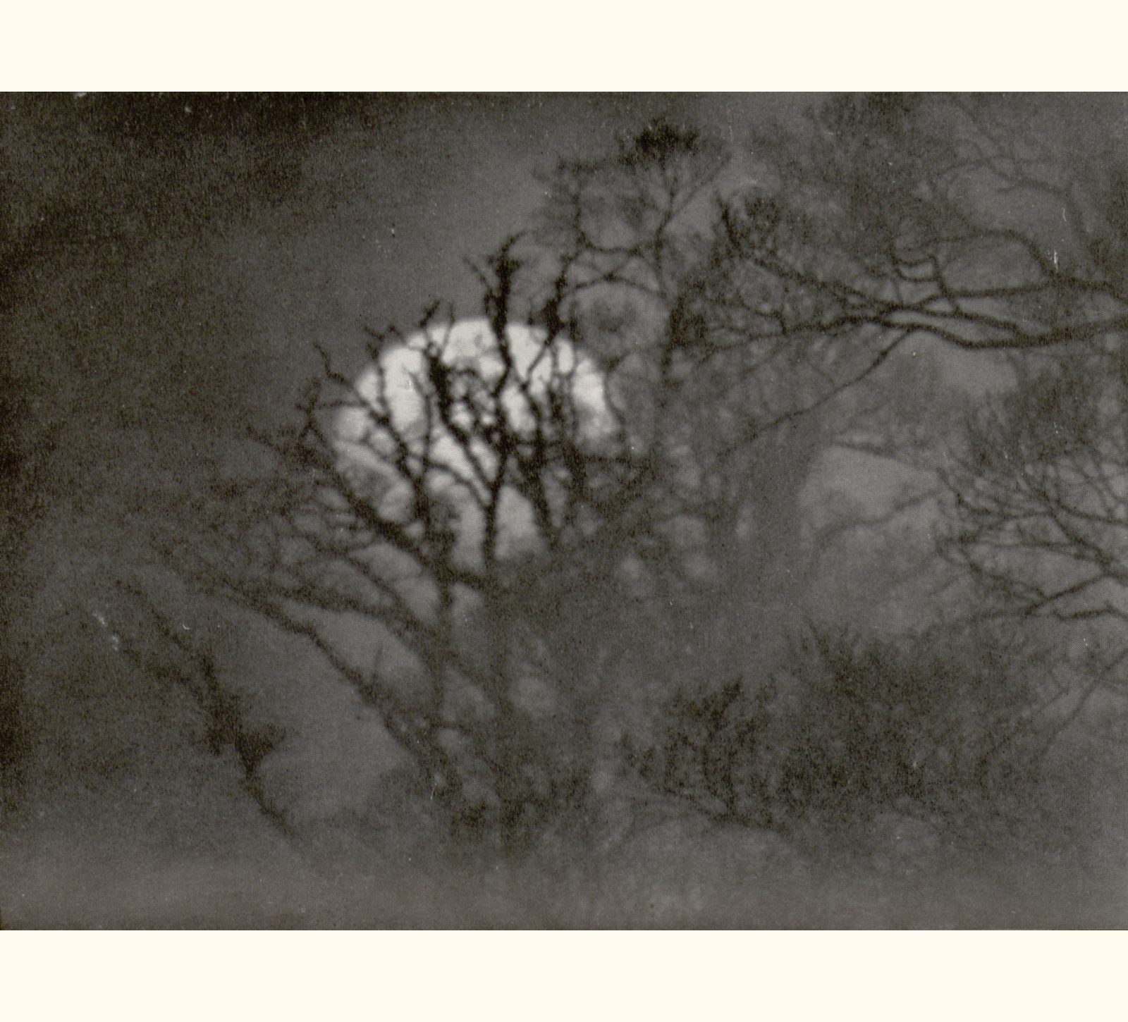 1910 Fifty-fifth Annual Exhibition of the Royal Photographic Society of Great Britain