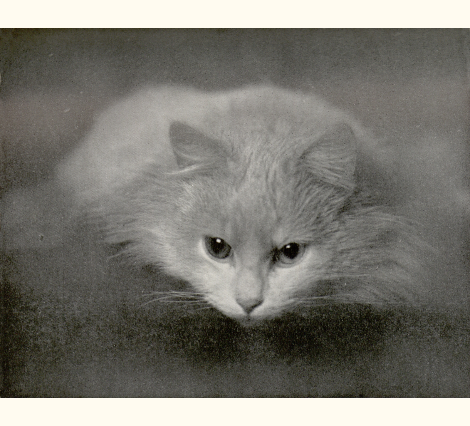 1911 Fifty-sixth Annual Exhibition of the Royal Photographic Society of Great Britain