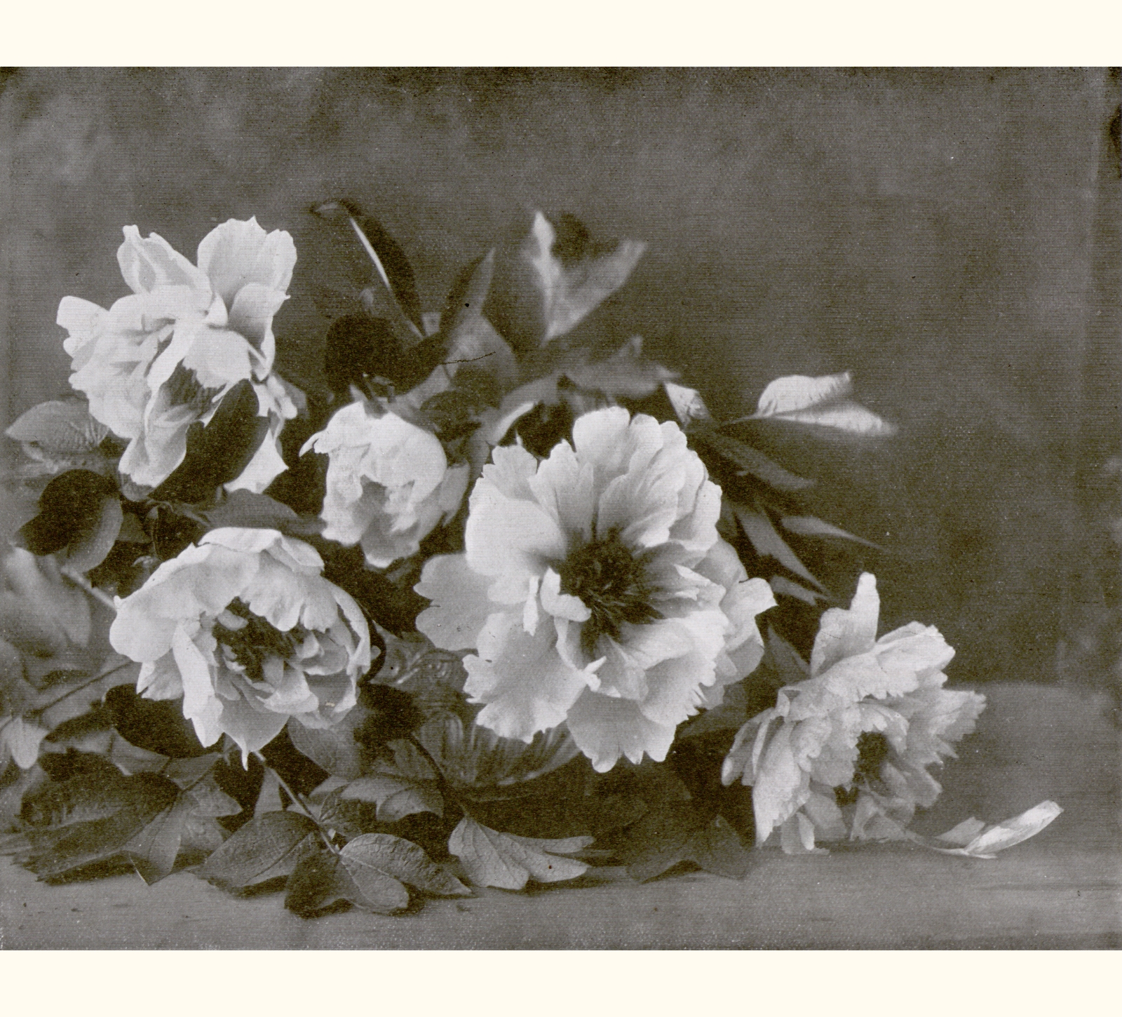 1912 Fifty-seventh Annual Exhibition of the Royal Photographic Society of Great Britain