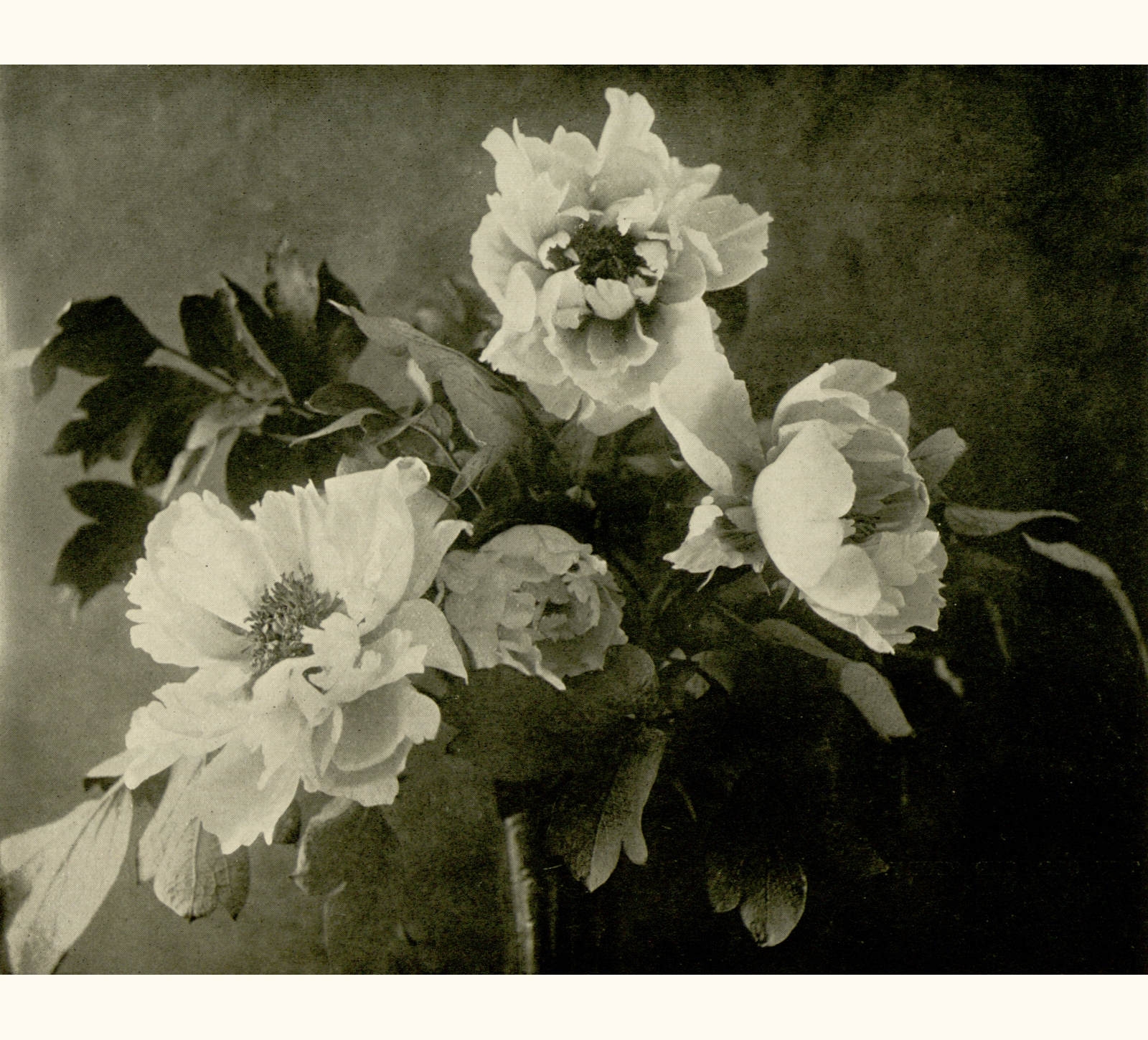 1913 Fifty-eighth Annual Exhibition of the Royal Photographic Society of Great Britain
