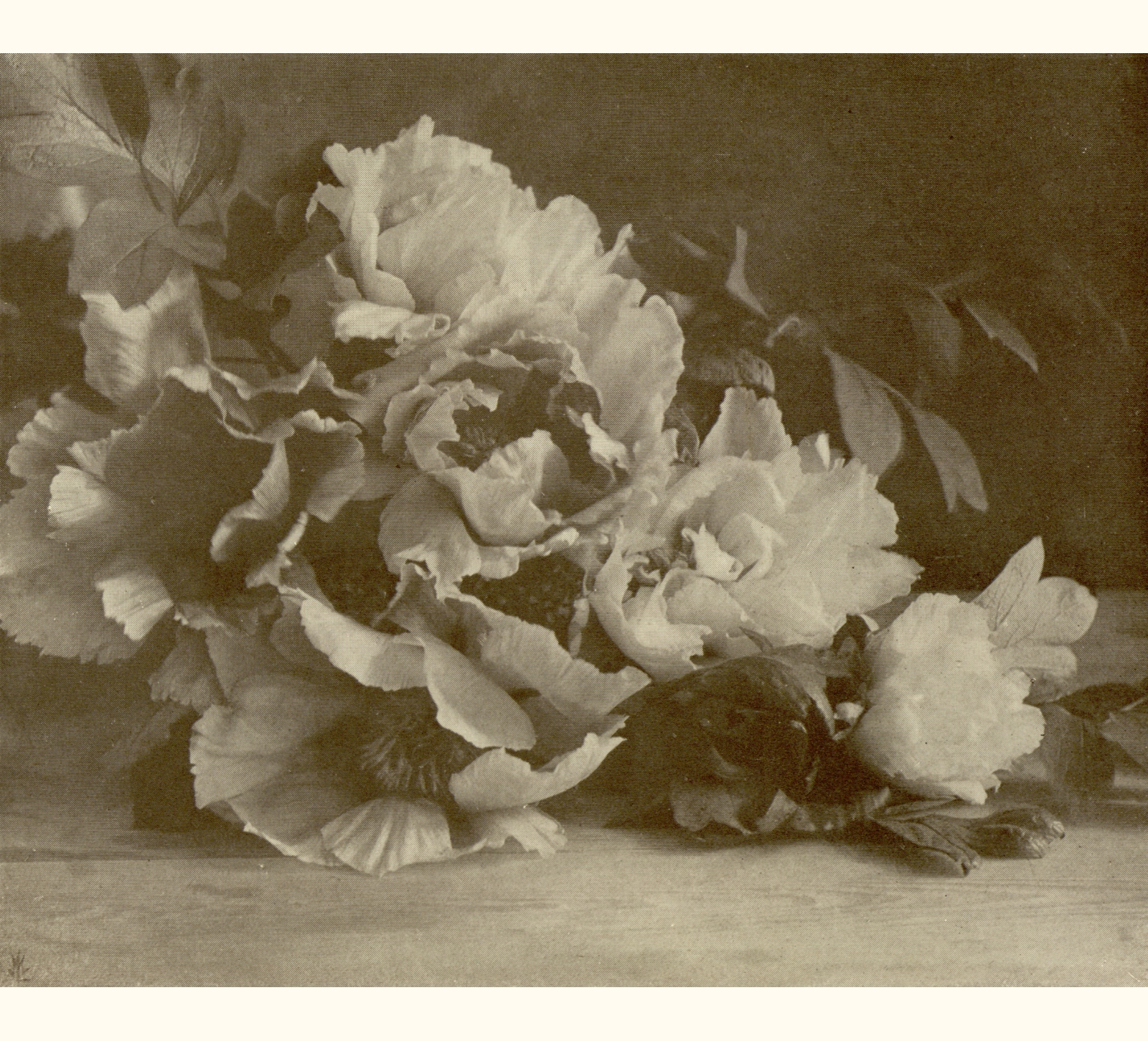 1914 Fifty-ninth Annual Exhibition of the Royal Photographic Society of Great Britain