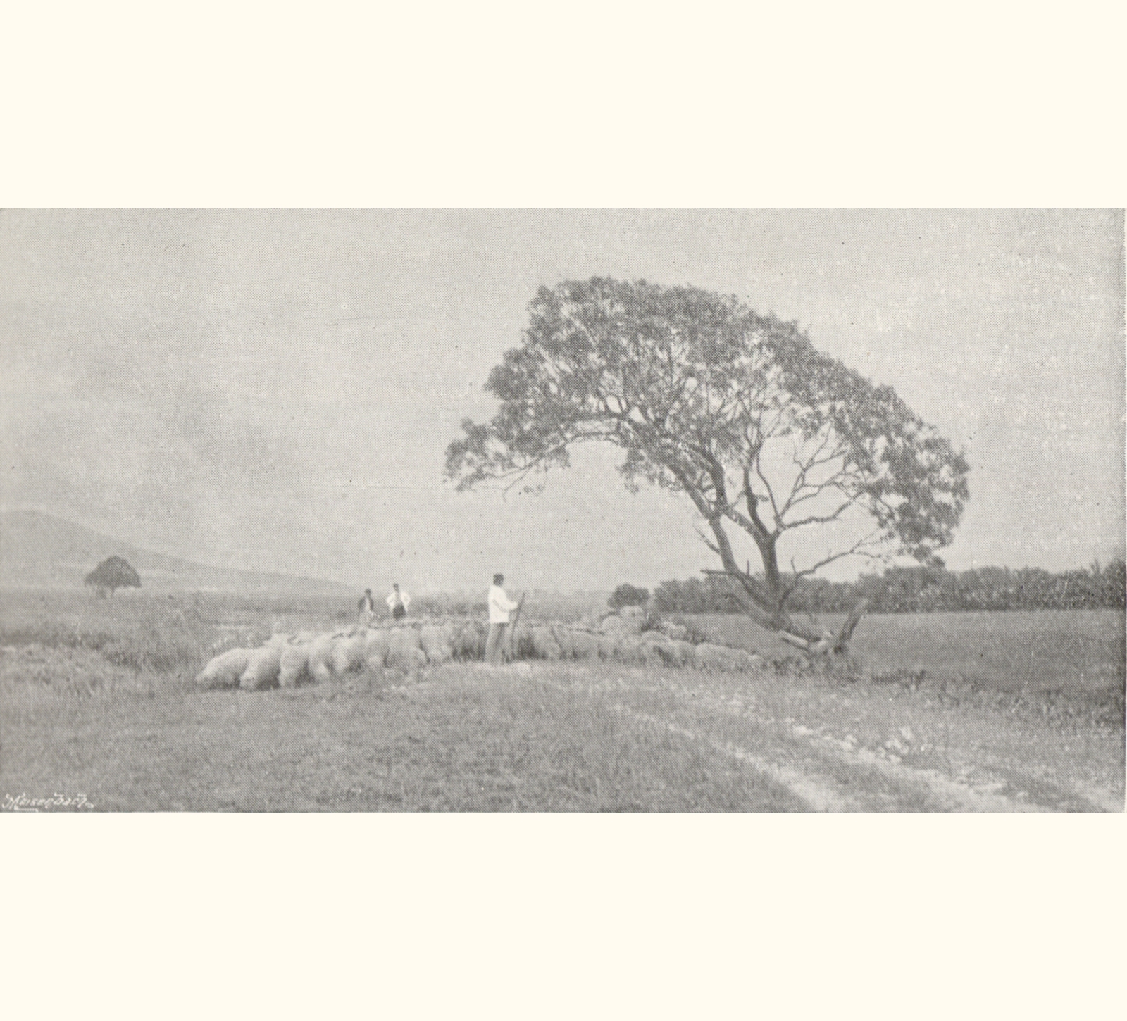 1895 Fortieth Annual Exhibition of the Royal Photographic Society