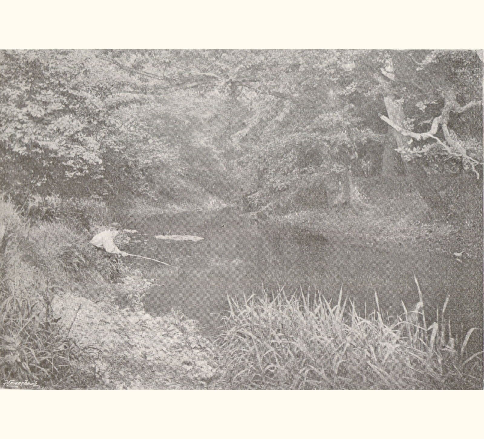 1895 Fortieth Annual Exhibition of the Royal Photographic Society