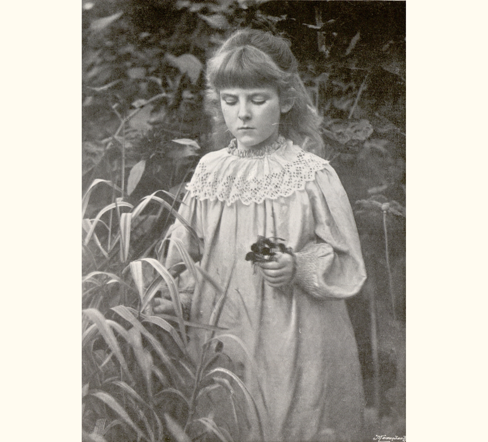 1895 Fortieth Annual Exhibition of the Royal Photographic Society