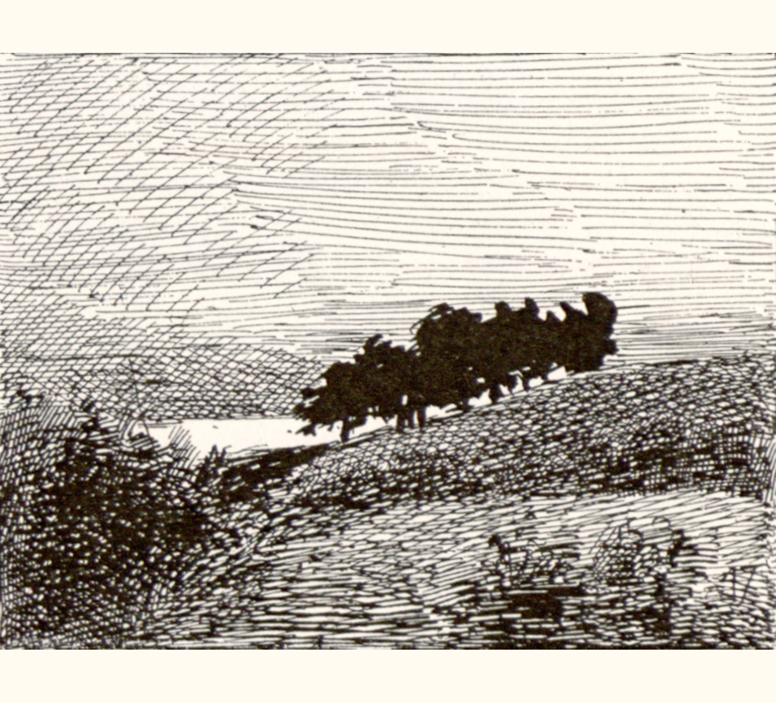 1895 Fortieth Annual Exhibition of the Royal Photographic Society