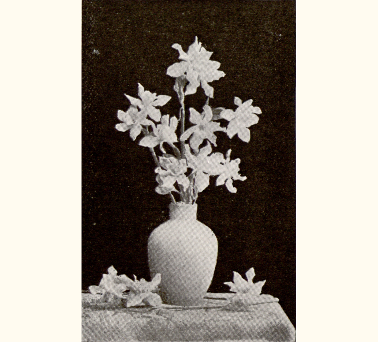 1895 Fortieth Annual Exhibition of the Royal Photographic Society