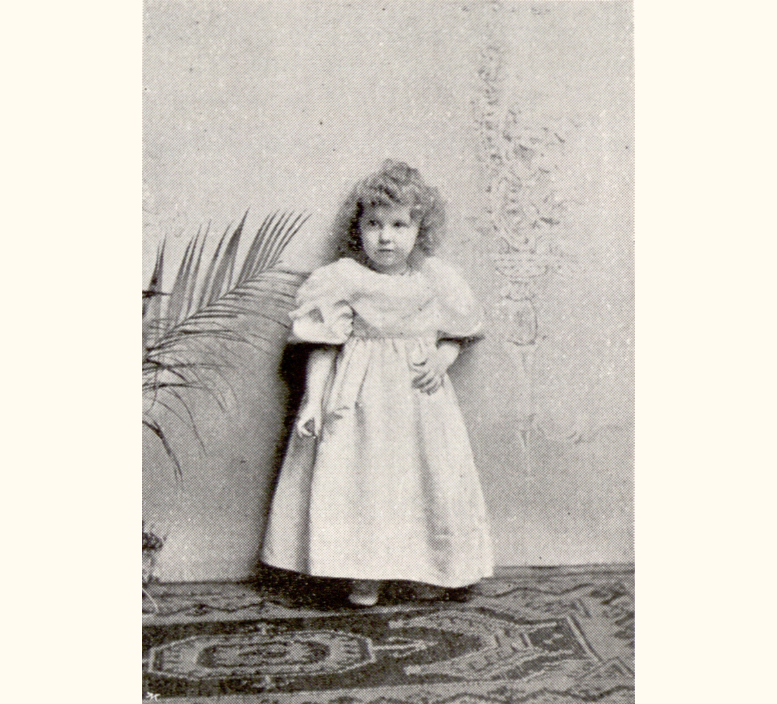 1896 Forty-first Annual Exhibition of the Royal Photographic Society