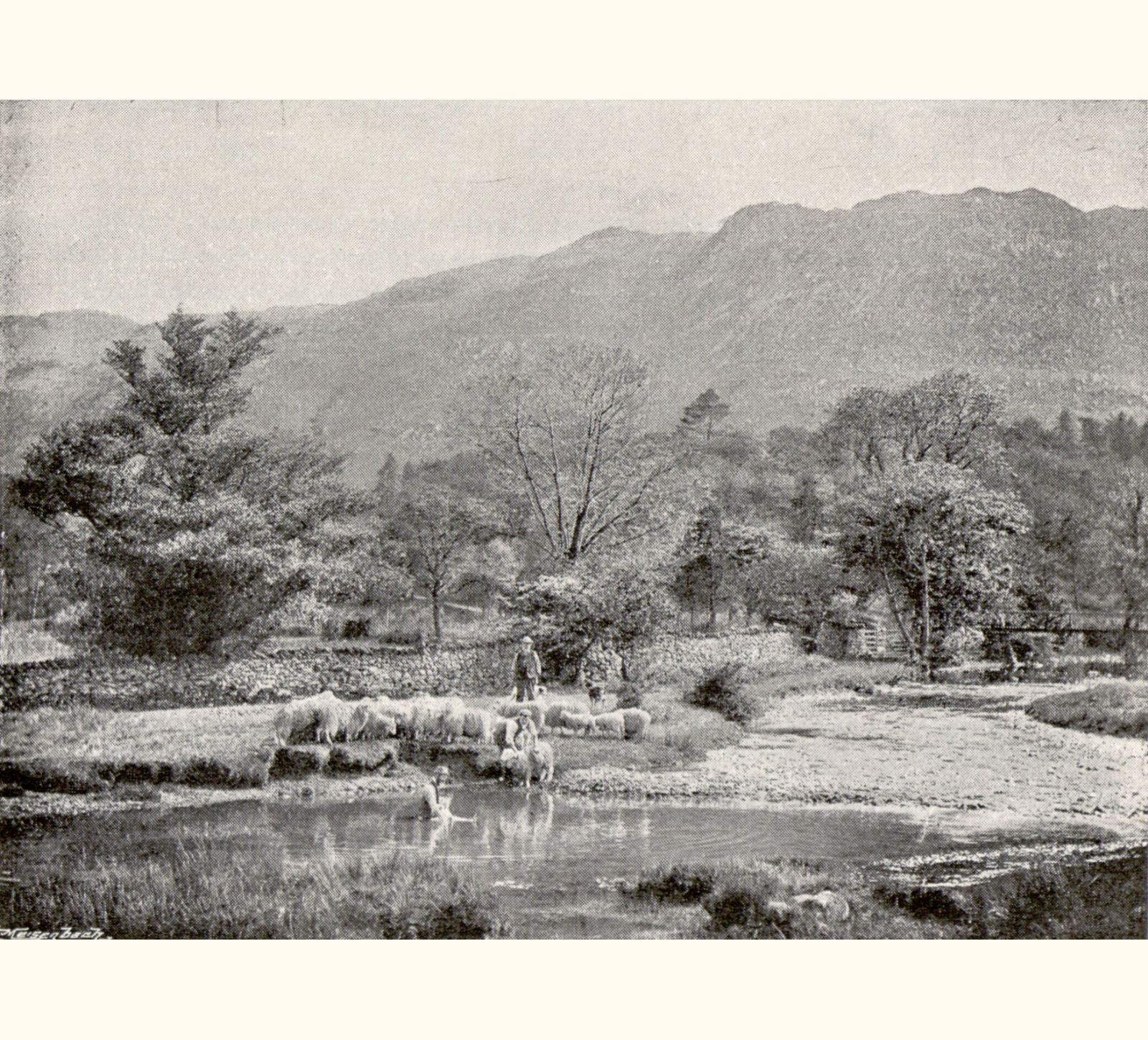 1896 Forty-first Annual Exhibition of the Royal Photographic Society