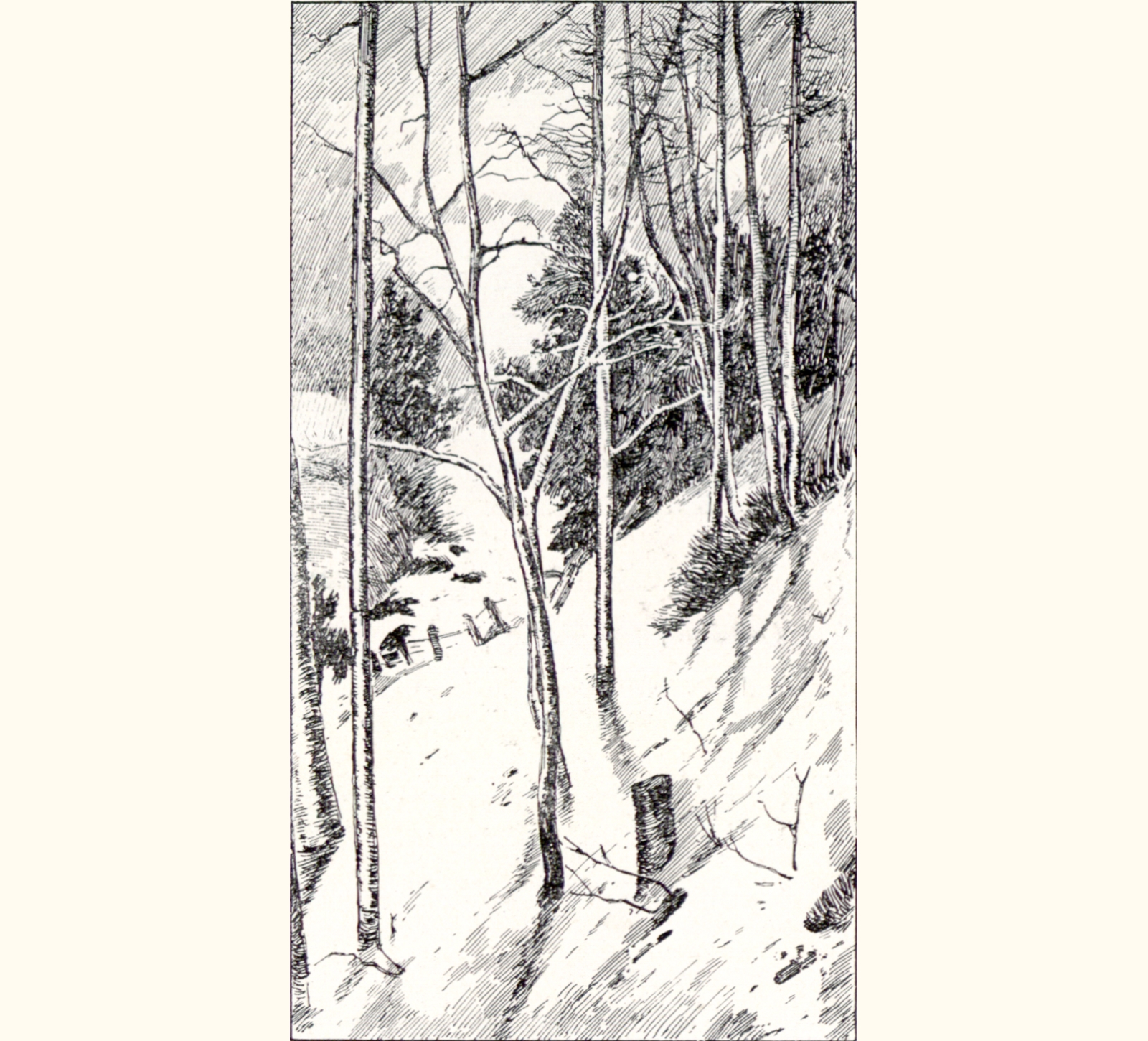 1897 Forty-second Annual Exhibition of the Royal Photographic Society