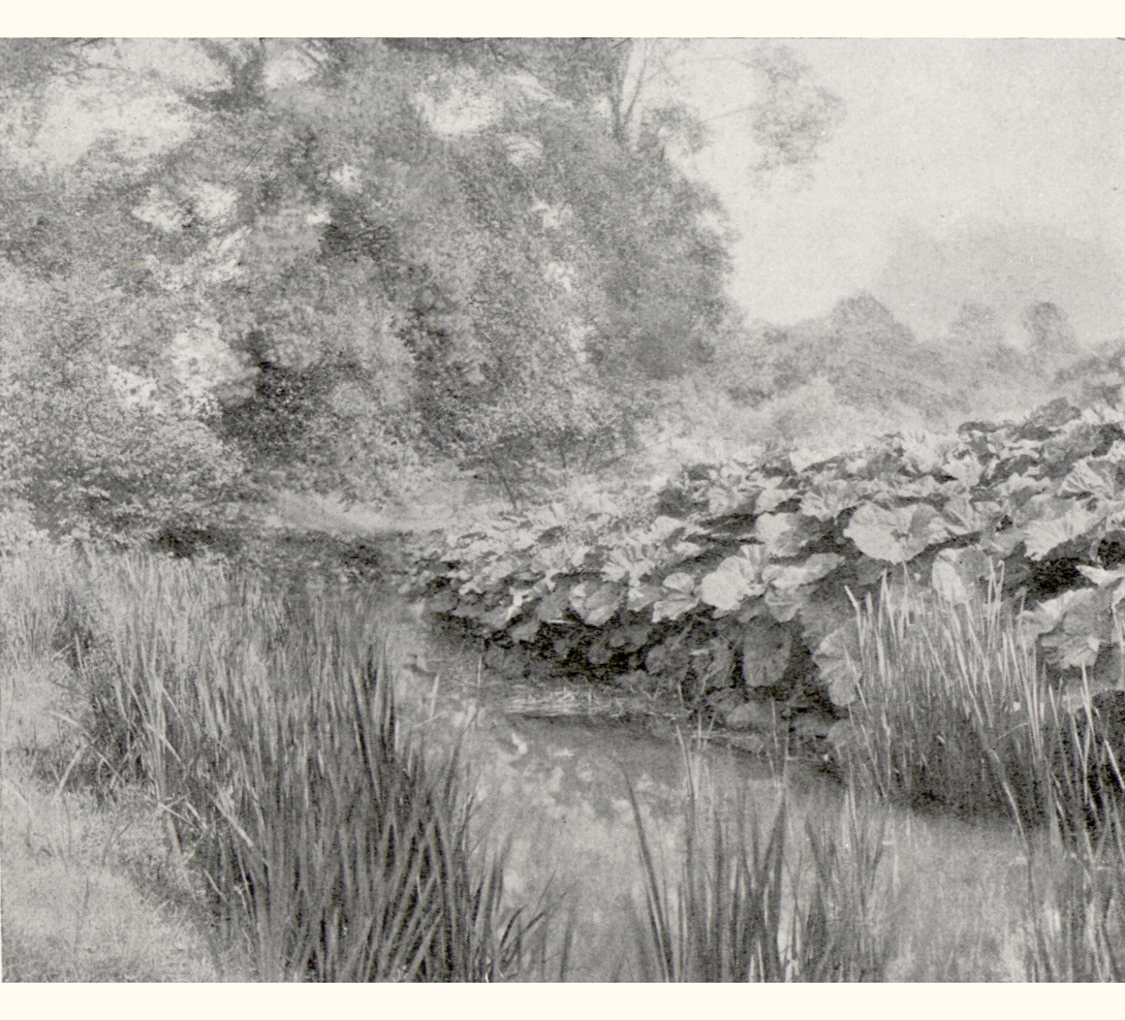1897 Forty-second Annual Exhibition of the Royal Photographic Society