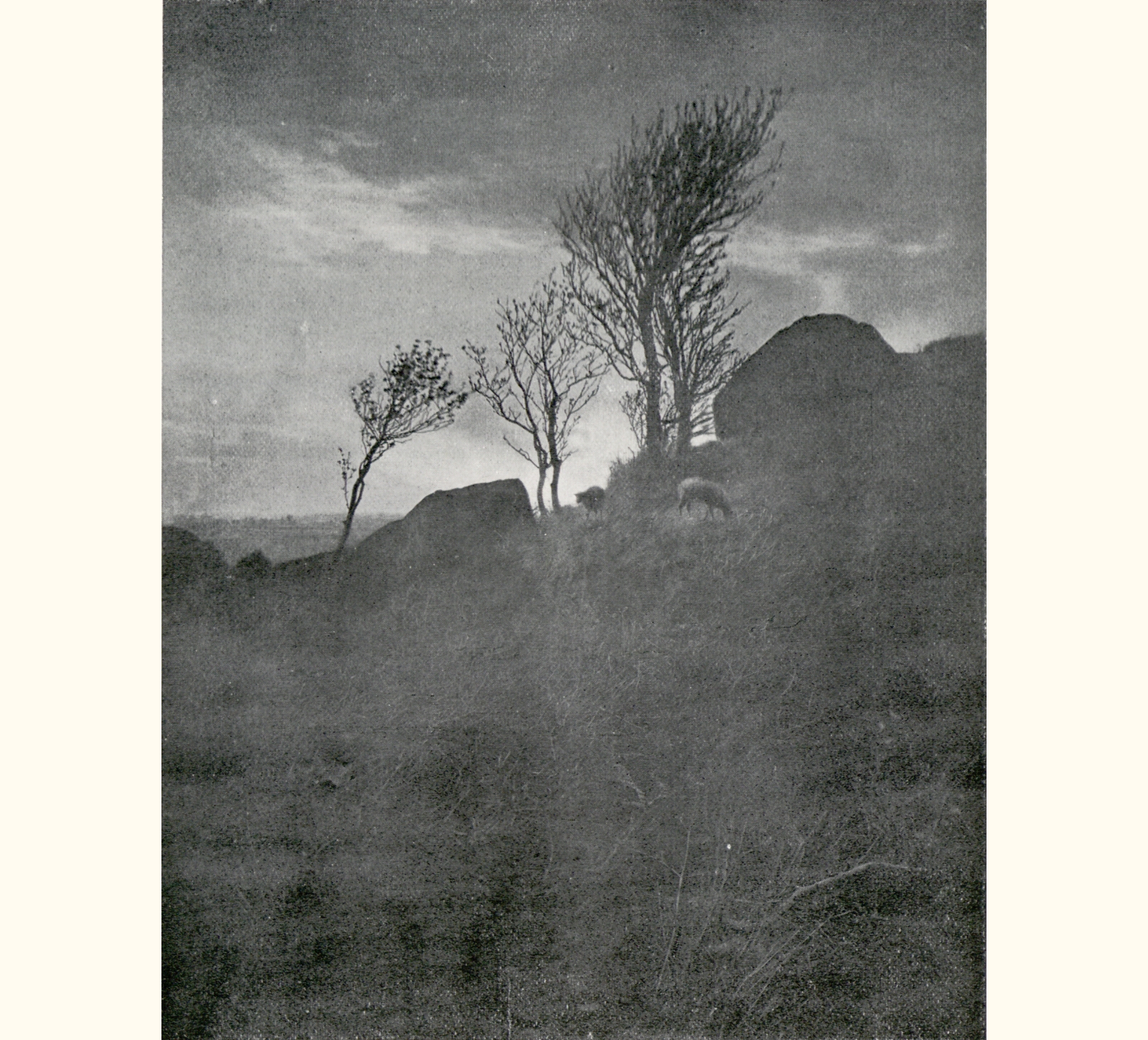 1898 Forty-third Annual Exhibition of the Royal Photographic Society