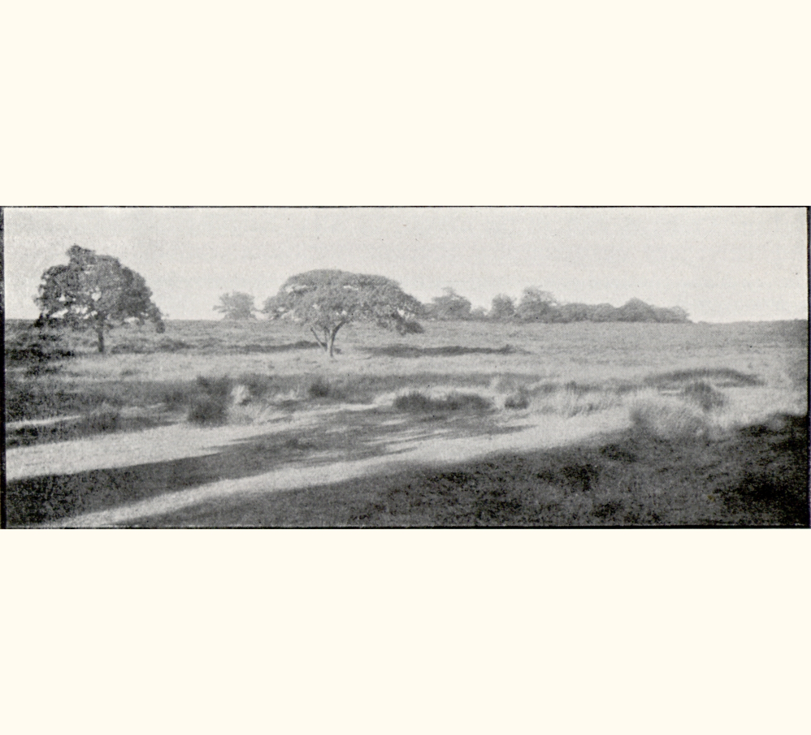 1898 Forty-third Annual Exhibition of the Royal Photographic Society