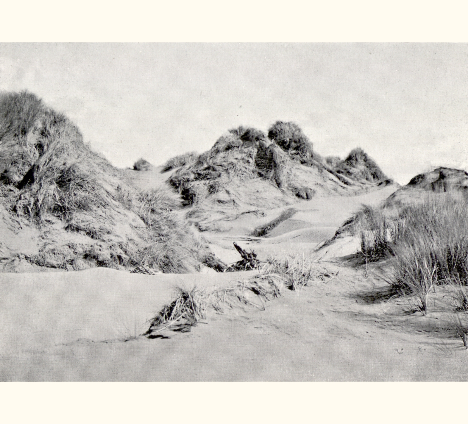 1898 Forty-third Annual Exhibition of the Royal Photographic Society