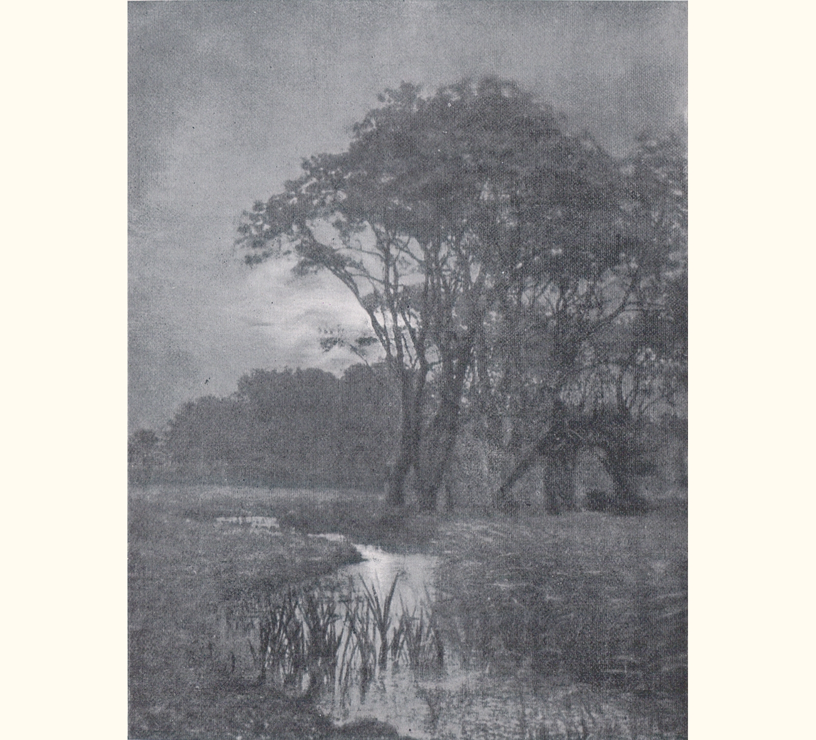 1899 Forty-fourth Annual Exhibition of the Royal Photographic Society
