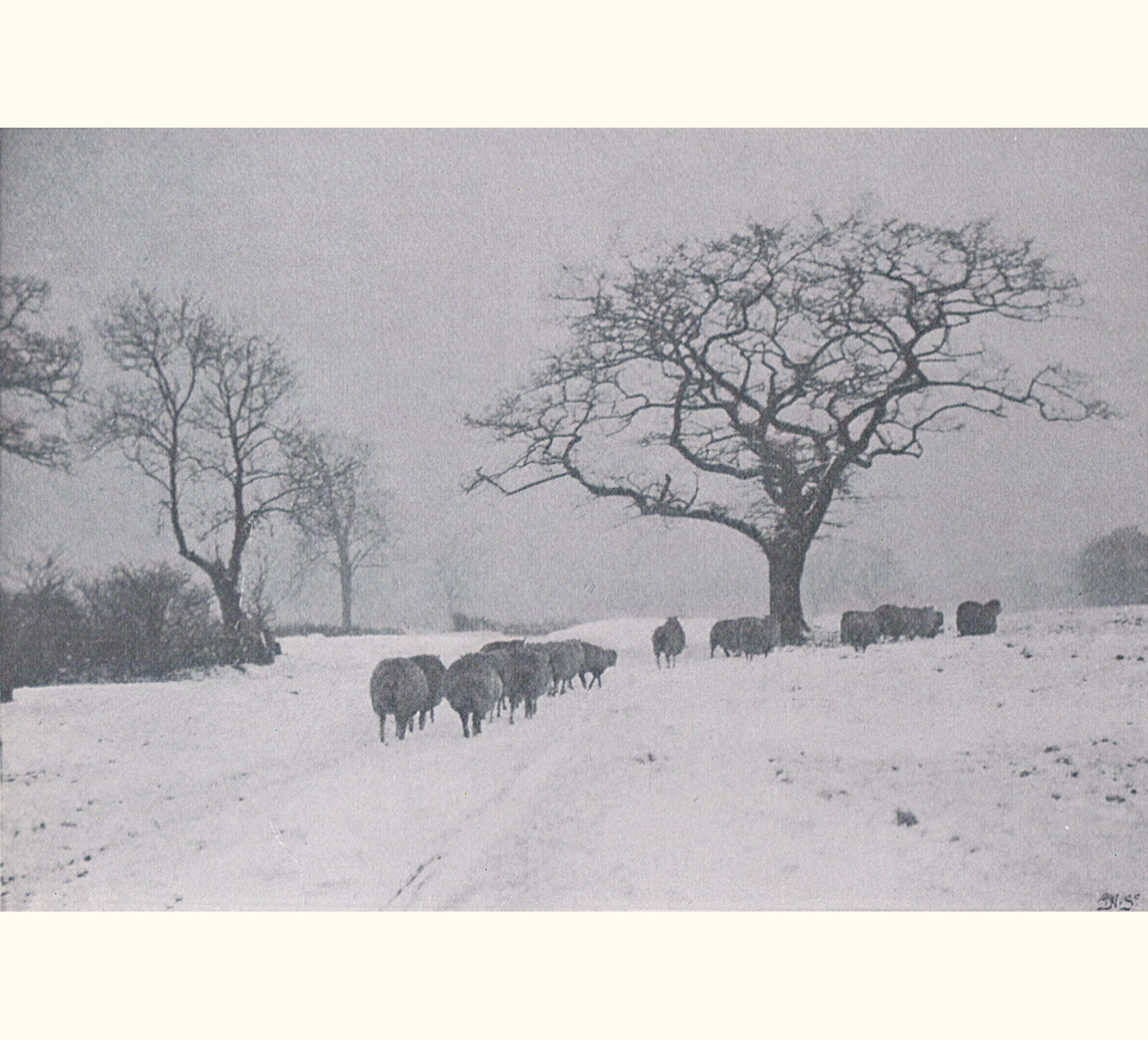 1899 Forty-fourth Annual Exhibition of the Royal Photographic Society