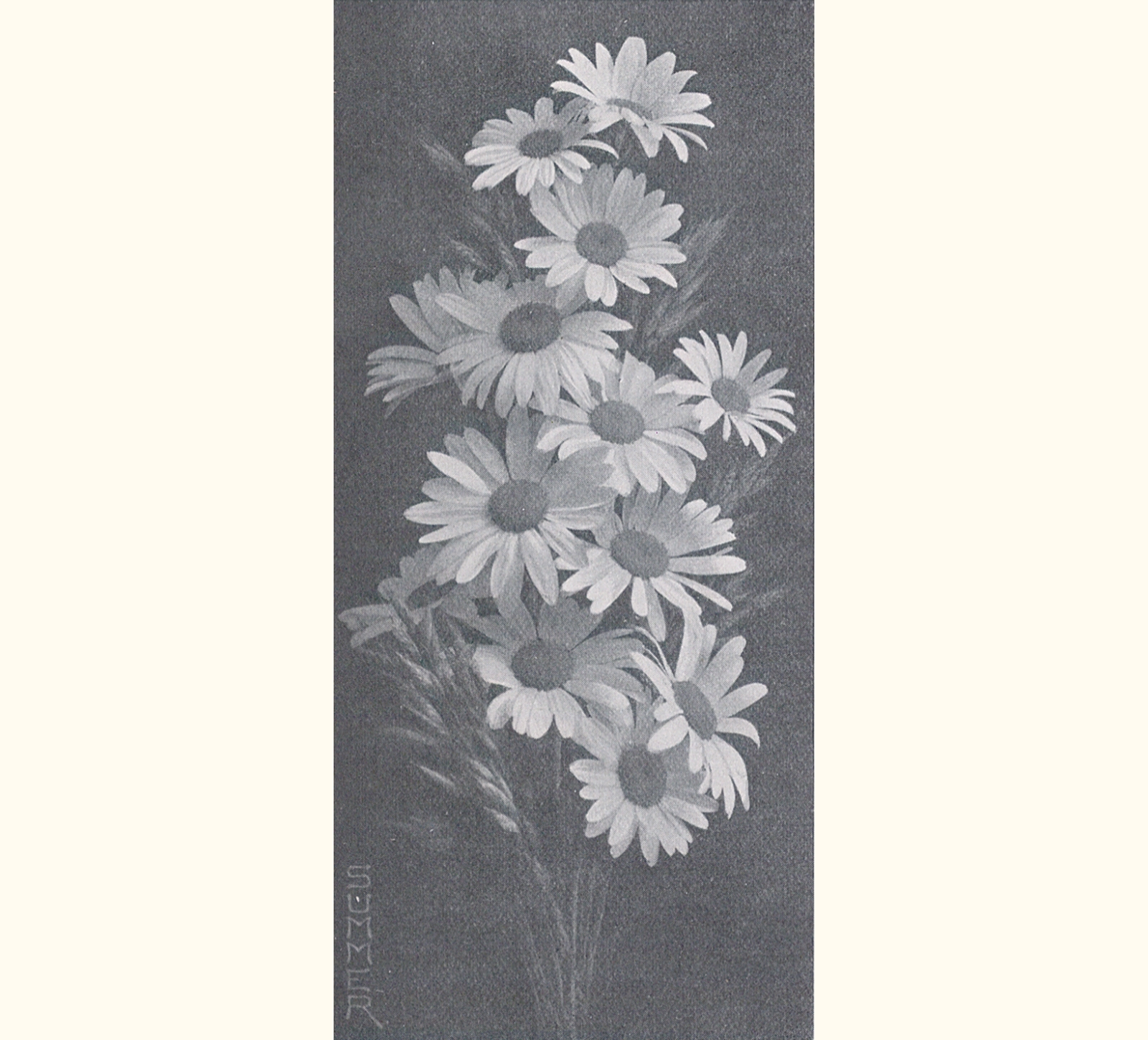 1899 Forty-fourth Annual Exhibition of the Royal Photographic Society