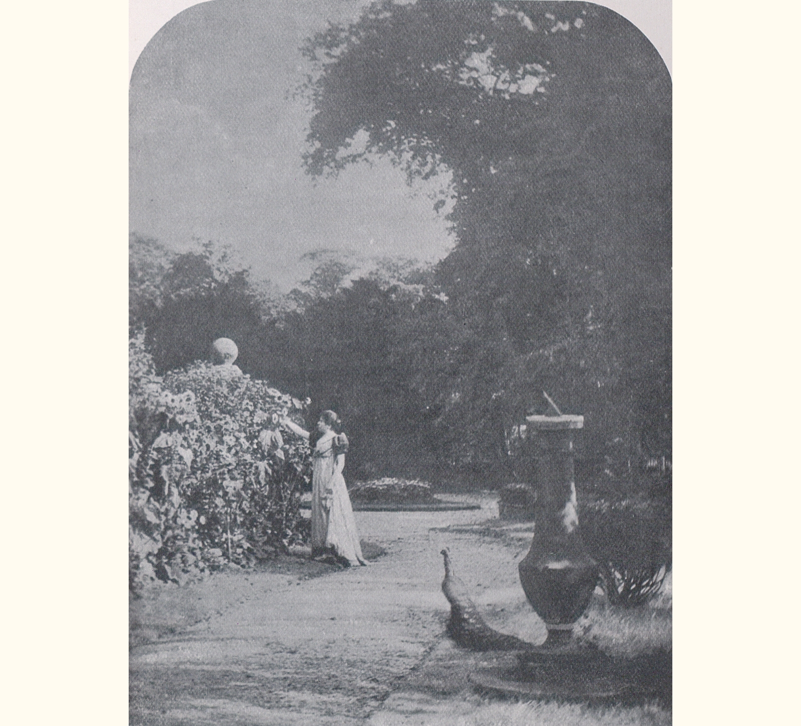 1899 Forty-fourth Annual Exhibition of the Royal Photographic Society