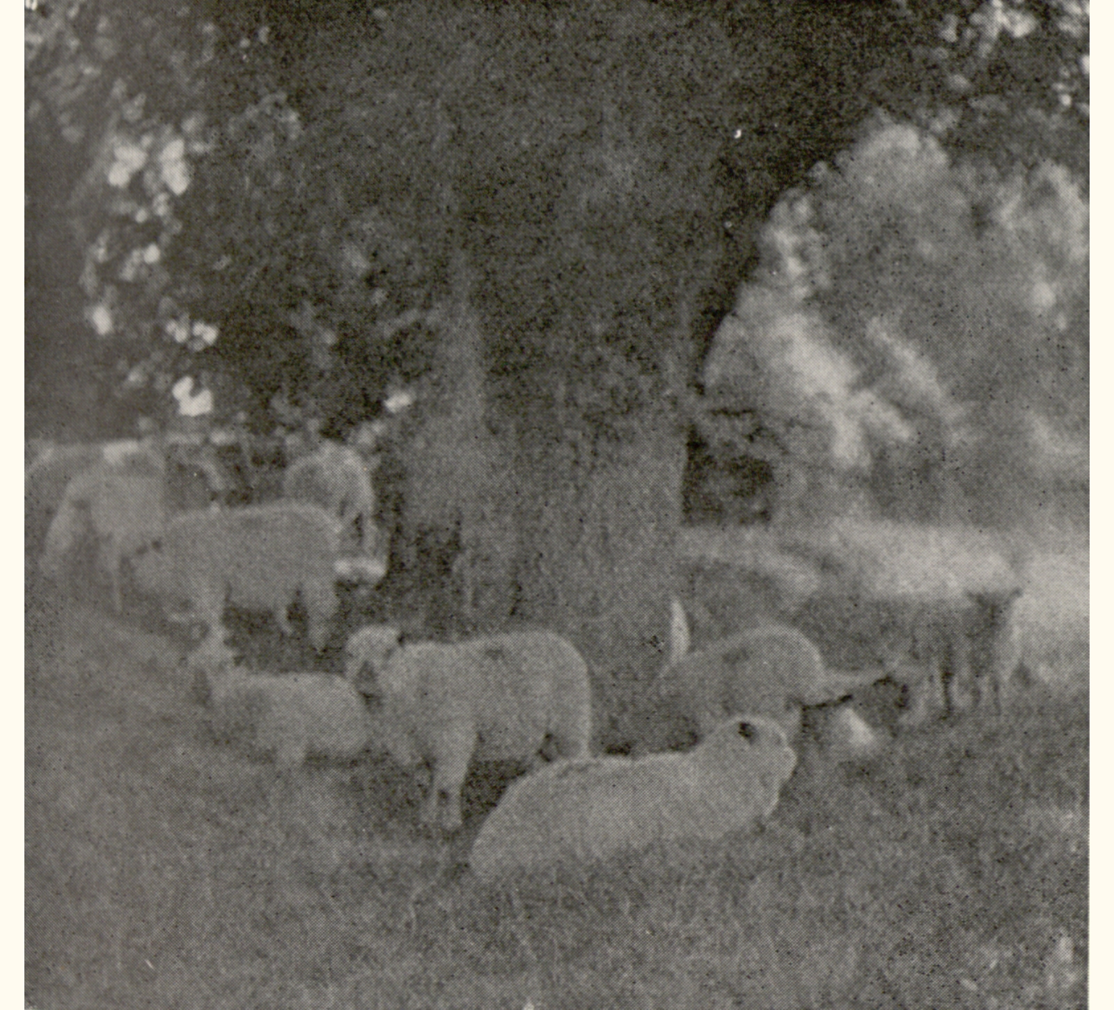 1899 Forty-fourth Annual Exhibition of the Royal Photographic Society