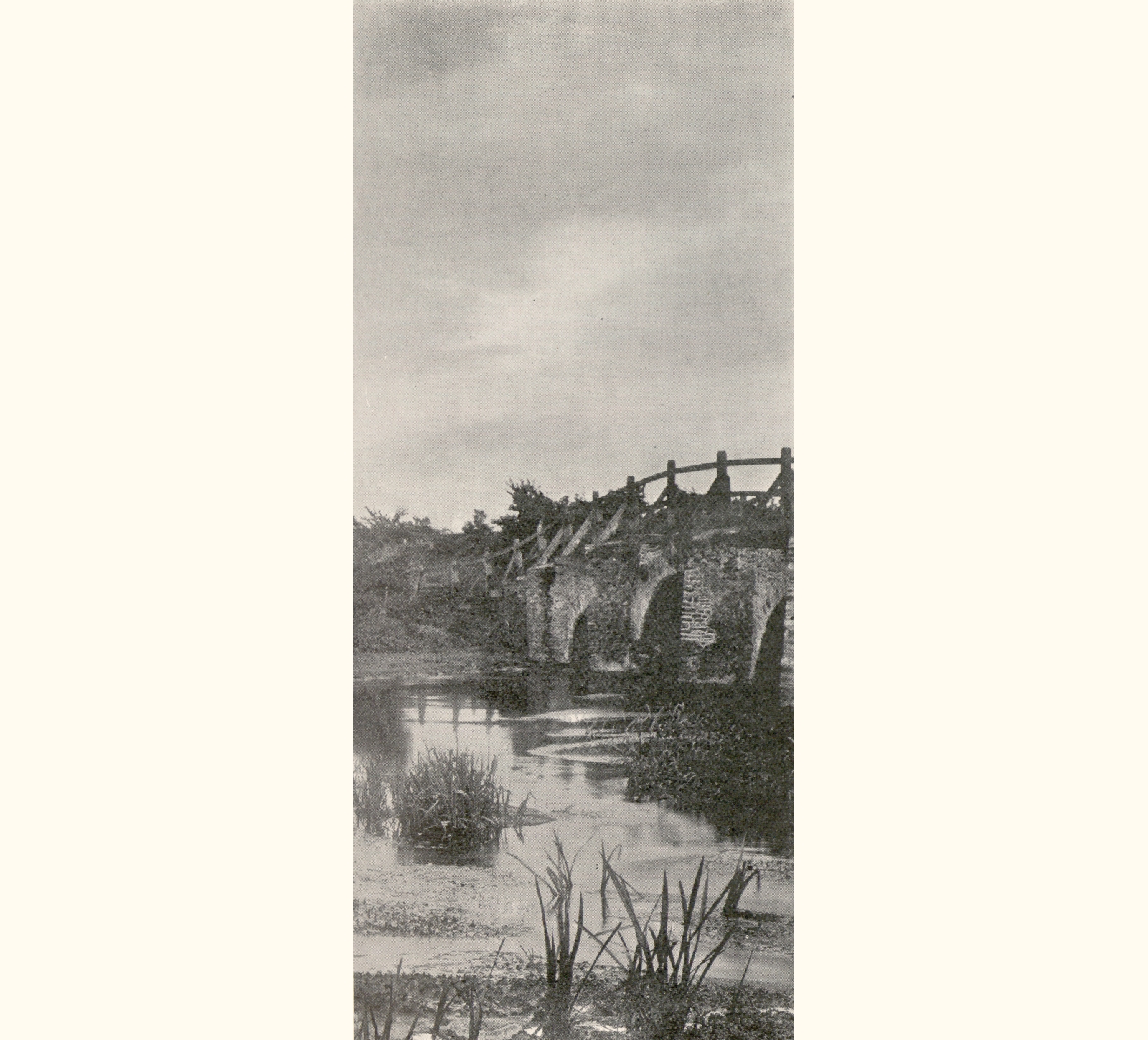 1899 Forty-fourth Annual Exhibition of the Royal Photographic Society