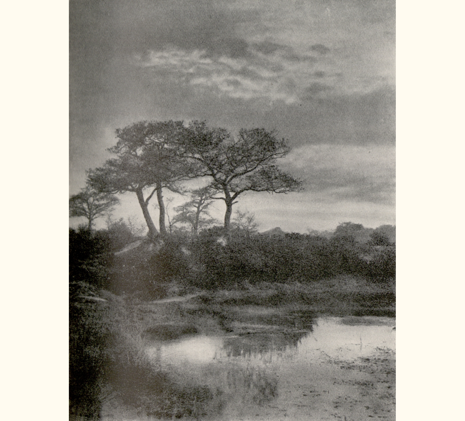 1899 Forty-fourth Annual Exhibition of the Royal Photographic Society