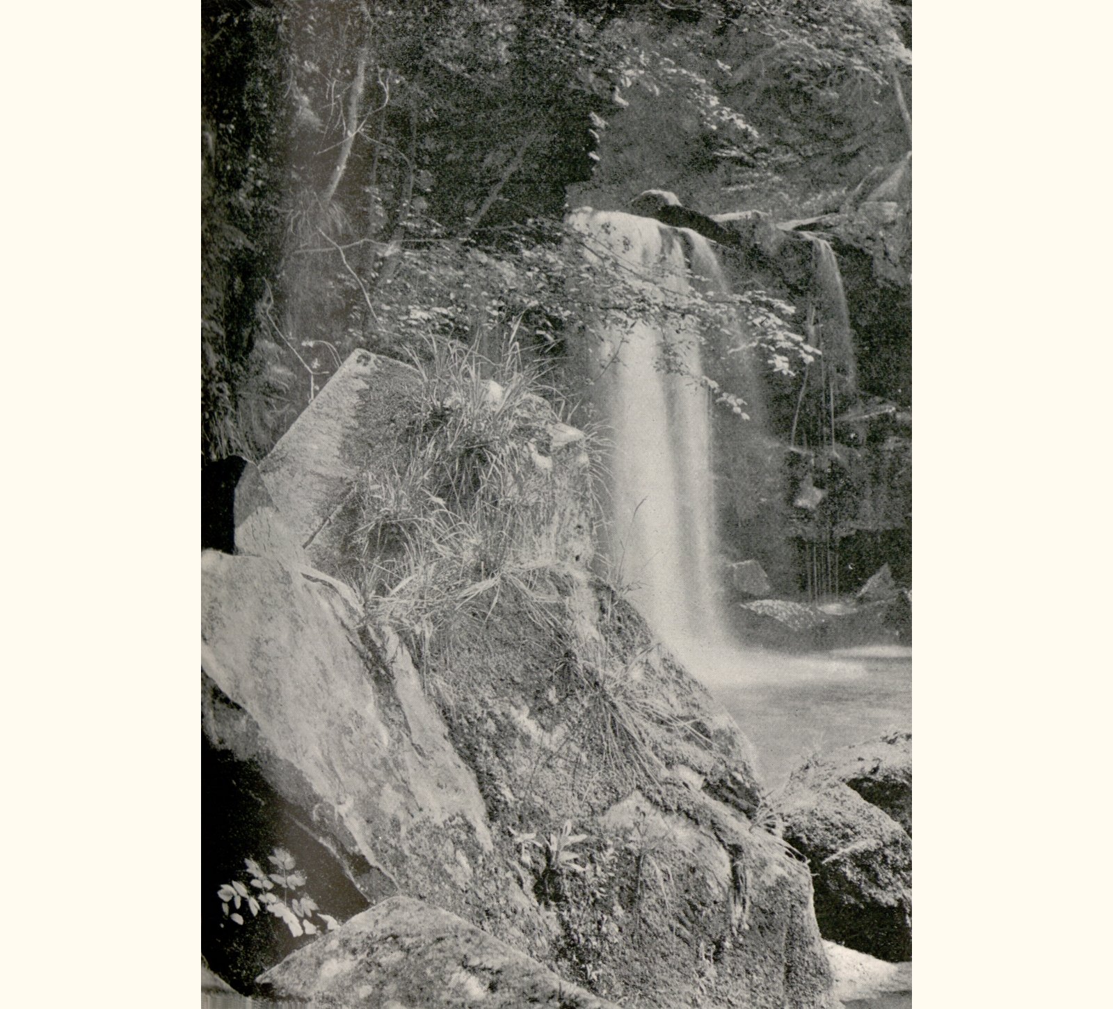 1899 Forty-fourth Annual Exhibition of the Royal Photographic Society