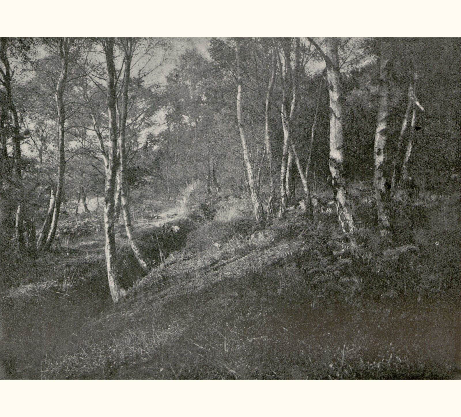 1903 Forty-eighth Annual Exhibition of the Royal Photographic Society of Great Britain