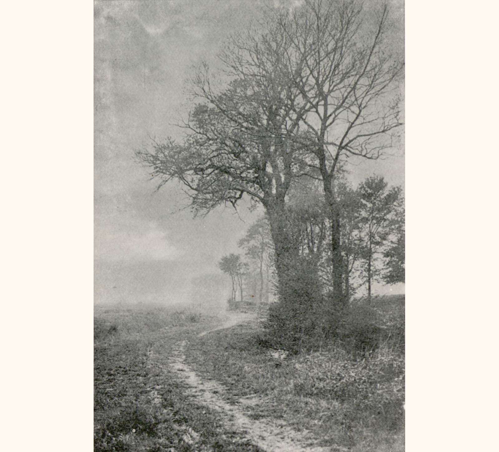 1899 Forty-fourth Annual Exhibition of the Royal Photographic Society