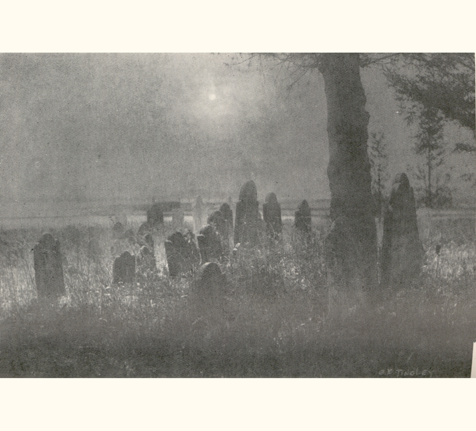 1898 Forty-third Annual Exhibition of the Royal Photographic Society