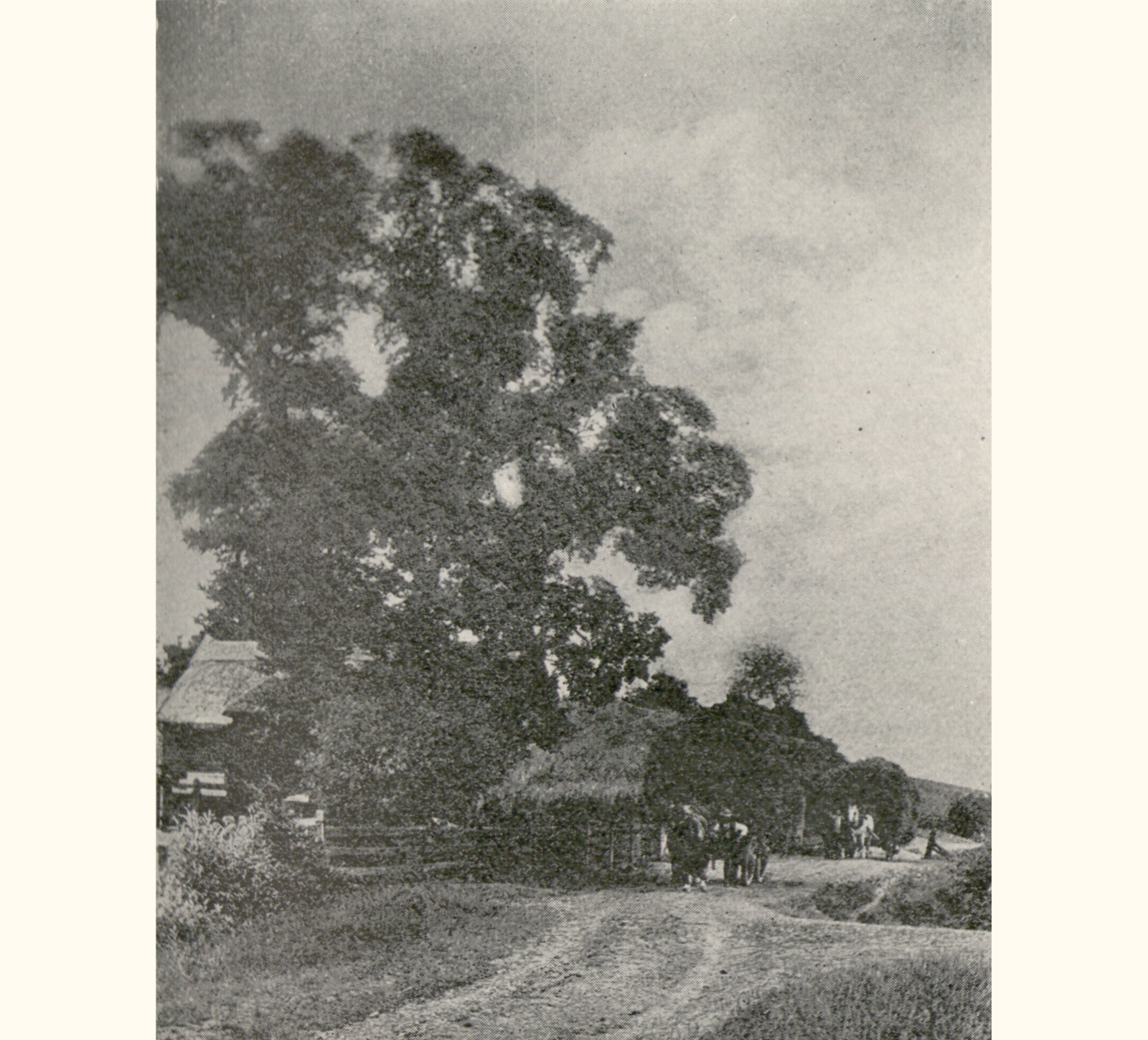 1898 Forty-third Annual Exhibition of the Royal Photographic Society
