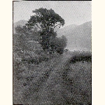 picture thumbnail