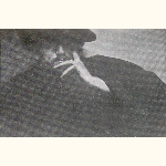 picture thumbnail