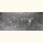 picture thumbnail