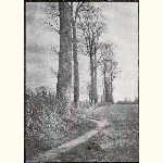 picture thumbnail
