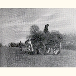 picture thumbnail