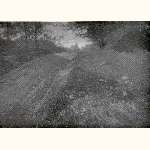 picture thumbnail