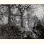 picture thumbnail