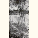 picture thumbnail