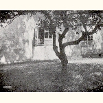 picture thumbnail