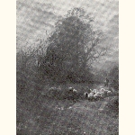 picture thumbnail