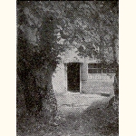 picture thumbnail