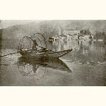 picture thumbnail