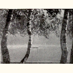 picture thumbnail