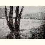 picture thumbnail