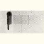picture thumbnail