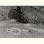 picture thumbnail