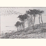 picture thumbnail