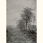 picture thumbnail