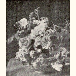 picture thumbnail