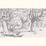 picture thumbnail